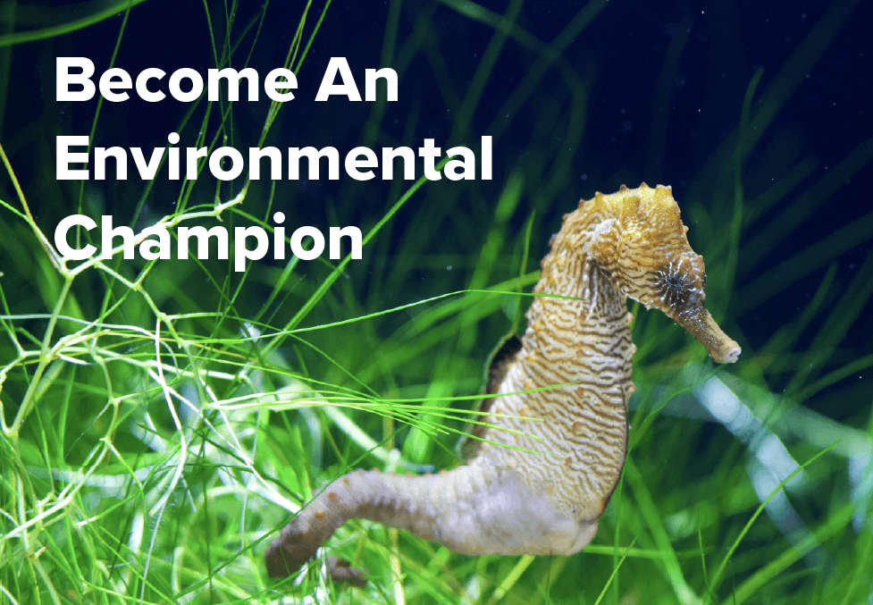 Plastic Net Zero champion
